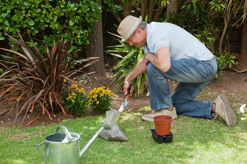 Zinnia Planting detail